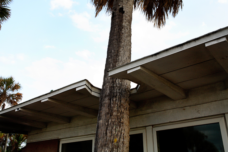 Illustration for article titled The Faded Glory of Dilapidated Modernist Homes